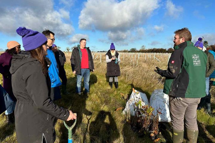 Tree-planting.jpg